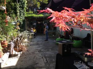 Garden  at Openbox in Porto