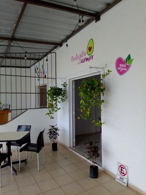 Vegano at Antojito Con Amor in Cancun