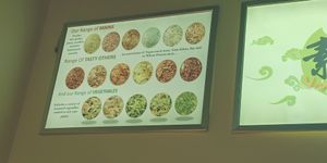 Closest to the menu at Vegan for Longevity & Health in Auckland