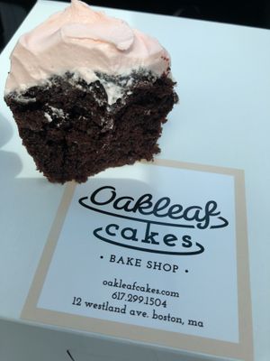 Vegan chocolate with raspberry frosting! at Oakleaf Cakes in Boston