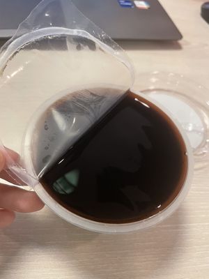 Grass jelly (good health properties)  at Mr Bean - Fusionopolis in West Singapore