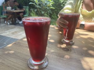   at Vegan House in Antalya