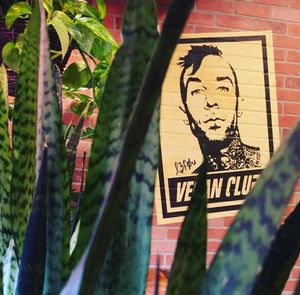 Restaurant is full of pretty plants and vegan celebrity posters! at Vegan GreenGO in Santa Barbara