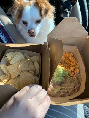 Doggo approved at Vegan GreenGO in Santa Barbara