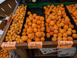 3 kinds of aprocoyd at Jeremy's Farm to Table in Chehalis