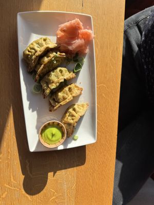   at Vlint 21 in Borger