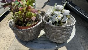   at Sylter Suppen in List