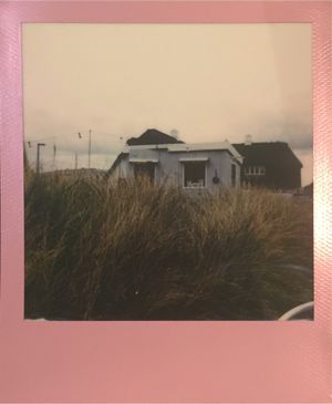 analog aus dem Strandhafer heraus at Sylter Suppen in List