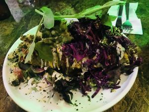 .  at Greenhouse Canteen & Bar in South Brisbane