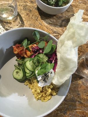 Jackfruit Rogan Josh at Greenhouse Canteen & Bar in South Brisbane