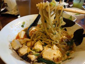 Noods  at JINYA Ramen Bar in Fairfax