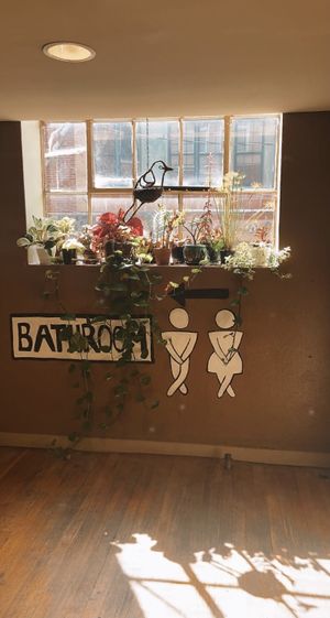 when even the bathroom area is cute > at Asheville Chocolate in Asheville