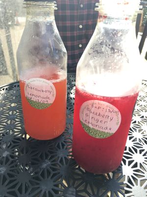Blueberry & ginger, and strawberry lemonade  at Prana Cafe in Leicester
