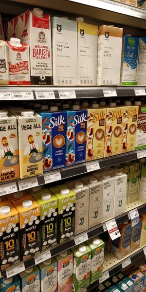  at Rachelle Bery - St-Laurent in Montreal