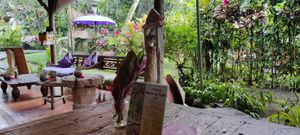 The cafe view at Swasti Beloved Cafe in Ubud