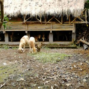 at Swasti Beloved Cafe in Ubud