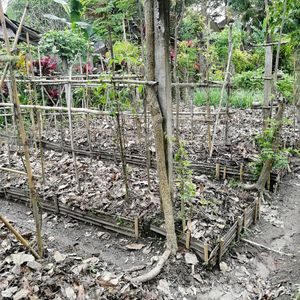  at Swasti Beloved Cafe in Ubud