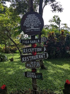  at Swasti Beloved Cafe in Ubud