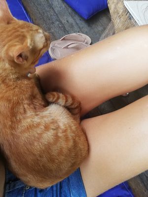 Little friend 🐾 at Swasti Beloved Cafe in Ubud