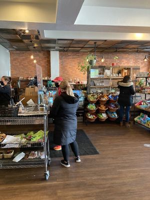 Front counter  at Nature's Oasis in Lakewood