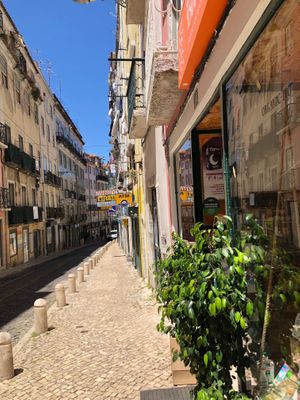 Street view at Bomercado in Lisbon