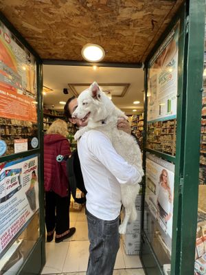   at Bomercado in Lisbon