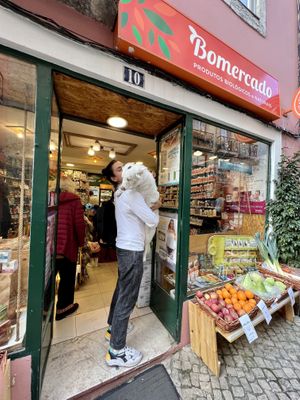   at Bomercado in Lisbon