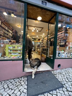   at Bomercado in Lisbon
