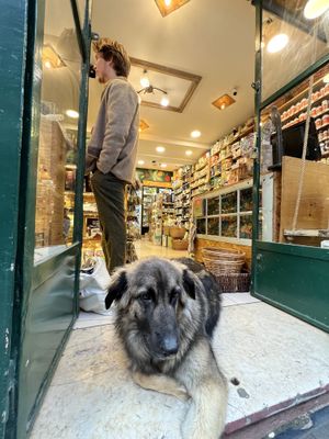   at Bomercado in Lisbon