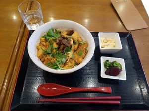 Vegan tofu donburi at Toryanse in Kyoto