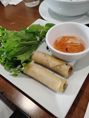 Spring rolls  at LaTaste - Vietnamese Cuisine in Prattville