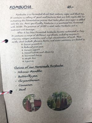 Kombucha at Everflow in Koh Chang