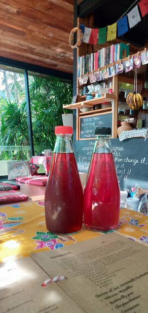 Kombucha at Everflow in Koh Chang