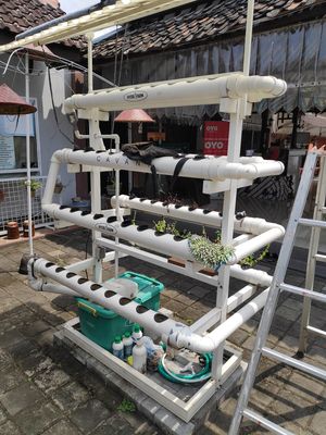 Hydro Farm at Grha Vege Jawi in Yogyakarta