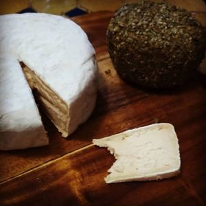 Queso vegano at AguaViento WaterWind - Food Truck in Cadiz