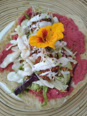 Falafel  at AguaViento WaterWind - Food Truck in Cadiz