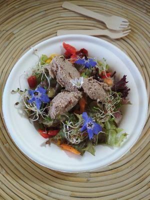 Ensalada de atún vegana at AguaViento WaterWind - Food Truck in Cadiz
