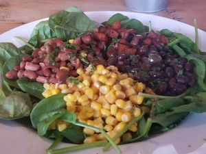 Vegan salad at The Healthy Spot in Tijuana