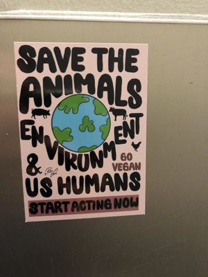   at Zeil Kitchen in Frankfurt