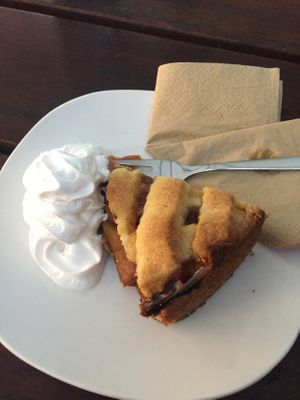 Apricot cake and whipped cream  at Zeil Kitchen in Frankfurt