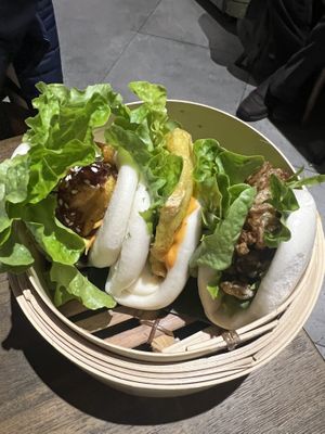 Bows  at Little Turtle in Enmore