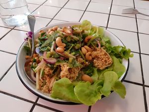 Love salad with crispy minced tofu, apples, cashew in sweet & sour at Little Turtle in Enmore