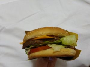 Burger at Veg-MI Trike in Milan