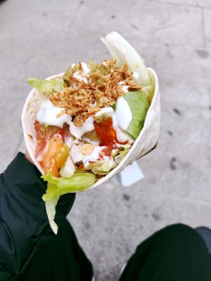 Green Crack! at Veg-MI Trike in Milan