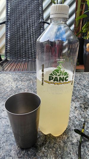 ginger frisante, fermented drink. get this instead of kombucha at Salgados Veganos Manaus in Manaus