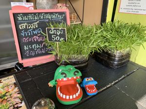 Menu 1 at Baby Sprouts - Kiosk in Chiang Mai