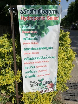 Menu 3 at Baby Sprouts - Kiosk in Chiang Mai