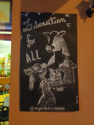 Design at La Siria in Malaga