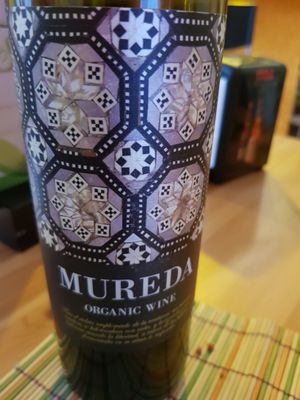 Organic wine at La Siria in Malaga