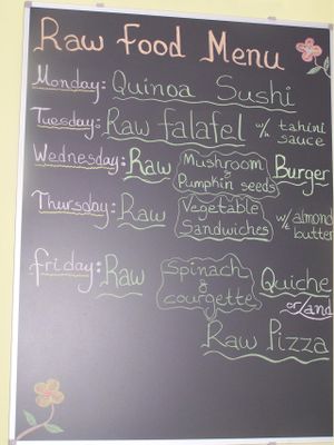 Raw food menu (July 2014) at Unlimited Health in Amsterdam
